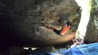 Magic Wood - The right hand of darkness fb.8a