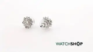Swarovski Jewellery Ladies' Stainless Steel Celestial Earrings (5112144)