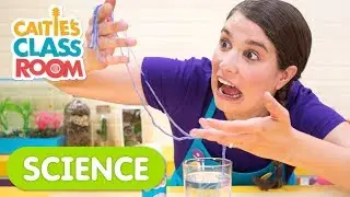 Playing With Gooey Worms | Caitie's Classroom