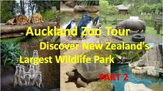 A day of adventure at Auckland Zoo! 🦁🐘 #AucklandZoo #Wildlife