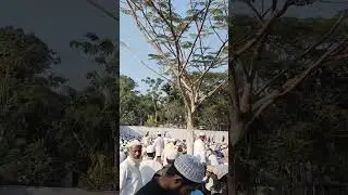 #nature #speedfan #dance #fanspeed #mela #subscribe