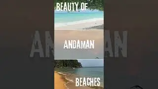 Beauty of Andaman Beaches #andamantrip #andamanbeach #andamanbeach #travelpackages
