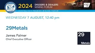 2024 | 29Metals | Джеймс Палмер | Копатели и дилеры