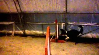 Training Agility With Noma! 3
