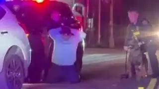 SDPD Officer strikes DV suspect several times. Retired SDPD Sgt Juan Cephas shares his thoughts.