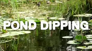 Pond Dipping at Wicken Fen & National Trust conservation