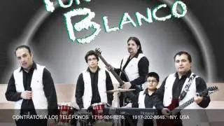 TE AMO TANTO- PUNTO BLANCO USA