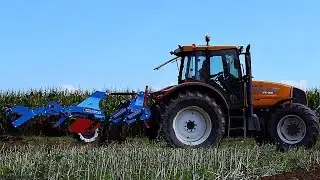 Uprawa Po Rzepaku Agregatem Agro-Lift |Renault Ares 825RZ|
