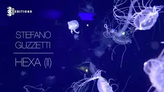 Stefano Guzzetti. HEXA (II)