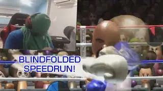 Wii Sports Boxing - Beat the Champion BLINDFOLDED in 42:25.946