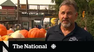 Warm fall brings drought to parts of B.C.