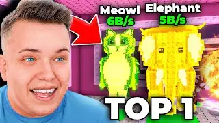Zostałem TOP 1 GRACZEM w Polsce w Steal A Brainrot Roblox!
