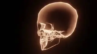 Jawline Lift &bull; Cheek Slimming &bull; Radiant Symmetry Energetic Subliminal Beauty Field