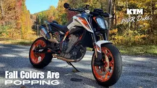 Riding Wolf Pen Gap on my KTM 890R Duke in the fall colors!