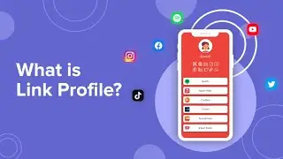 What is Link Profile?