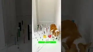 Oh no, I&rsquo;m totally screwed! 😱💥🆘 #shortvideo