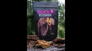 BEWARE!!!! DONT TAKE DUCK FLOWER