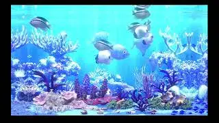 AQUARIUM / FISHTANK IDEAS - ultimate virtual fishtank