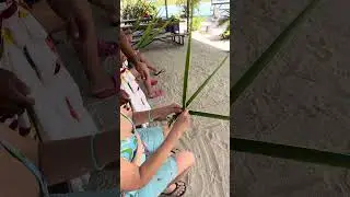 Lagoon Trips 3 #shortvideo #shortsvideo #shorts #short #borabora