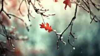 F3edo - Somewhere