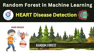 Random Forest in Machine Learning: Predicting Heart Disease | Burhan's Tech Lab