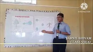 Presentation by Barnil Shivam, Class VII (A) || GGEW MANGALDAI, ASSAM || JUNE 2025||