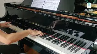 [PianDuo] Ragnarok Online 仙境傳說 - Theme of Juno 朱諾 - Piano Solo 鋼琴獨奏