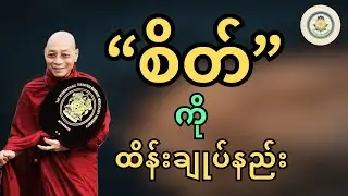 စိတ်ကိုထိန်းချုပ်နည်း ( ပါချုပ်ဆရာတော် အရှင်နန္ဒမာလာဘိဝံသ ) ဟောကြားတော်မူသော တရားတော် 