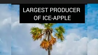 The country that produces large quantity of ice apple