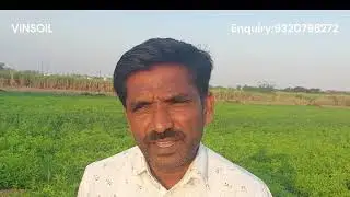 Vinsoil Feedback -Sugarcane - Hard Alkaline Soil