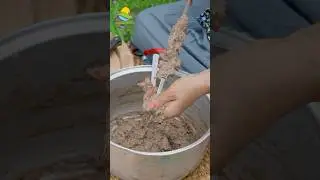 Kabab Torsh or Sour Kebab | کباب ترش آبدار و خوشمزه | Different BBQ Style