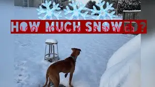 RARE SNOW IN MIDDLE GEORGIA 🇺🇸❤️❄️
