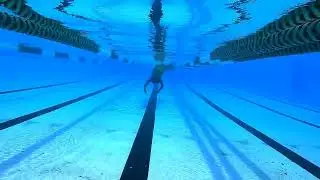 MERMAID SWIM WITH MERMAID SYRENA | NORTH CAROLINA ENTERTAINMENT