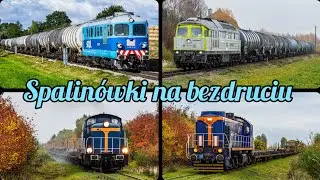 Spalinówki na niezelektryfikowanych liniach w okolicach Gniezna 