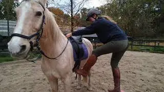 Stal Mansour E-cursus - Opstijgen