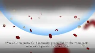BioCep Cell Enrichment Process - Effective Flow Through, Medium Free Cell Isolation