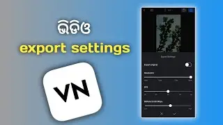 Best_ Export Setting_ in_ VN App