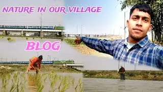 Nature in our village  #virelshorts #youtube #nature#indiannature