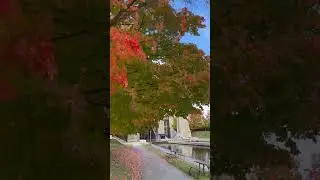 Lift Lock but make it fall #peterboroughontario #liftlock #autumn