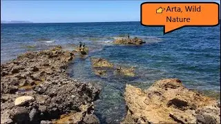 👉Arta, Wild Nature-MALLORCA