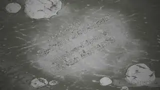 SpongeBob SquarePants Kwarantined Krab Title Card In Chorded In G Major 675