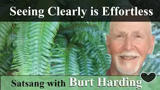 SEEING CLEARLY IS EFFORTLESS!