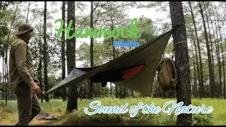 SOLO HAMMOCK CAMPING [ ASMR - RELAXING - COOKING ] THE SOUND OF THE NATURE | SILENT VLOG