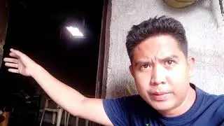 Selfie bird recall