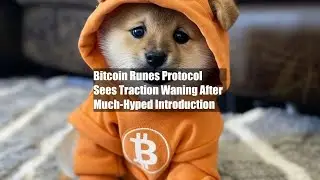 Bitcoin Runes Protocol Sees Traction Waning After Much-Hyped Introduction