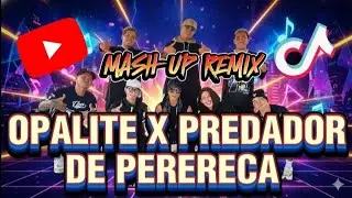 OPALITE X PREDADOR DE PERERECA I TikTok Viral I Dj Choijay Remix I ZUMBA I ZINJA JM
