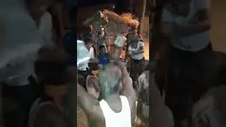 Gao ke  holi