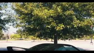 StreetSociety MK4 SUPRA GIVEAWAY