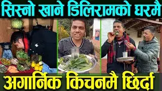काँचो सिस्नो खाने दिलिरामको घरमा पुगेर किचनमा छिर्दा !! यस्तो रहेछ कहानी !! Yogi Dilliram Story !!