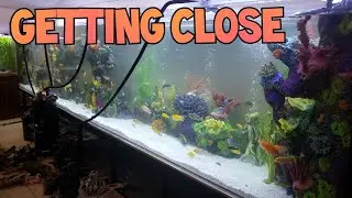 1800 Gallon Monster Tank: Part 5 -Building a Masterpiece (The Tanked Show - Bellagio Tanks)